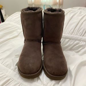 Women Classic Chocolate Short Uggs, size 7